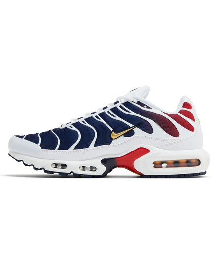 Paris Saint Germain (PSG) x Air Max TN Plus "Home Kit"